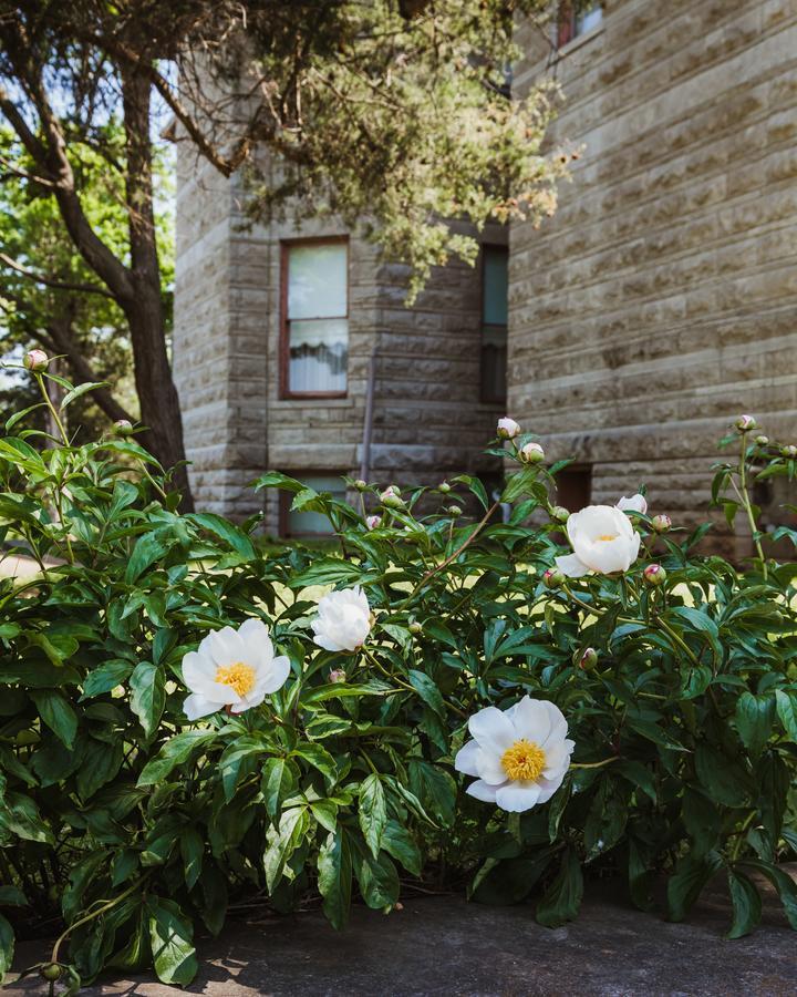 The Mansion At Elfindale Bed & Breakfast Springfield Exterior photo